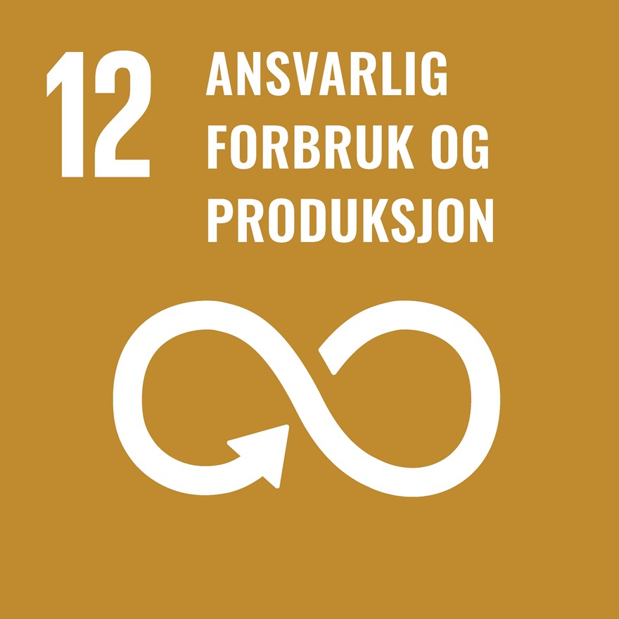 Mål 12