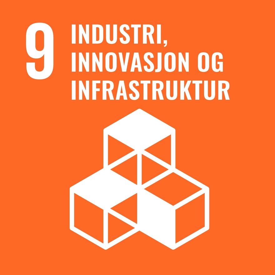 Mål 9