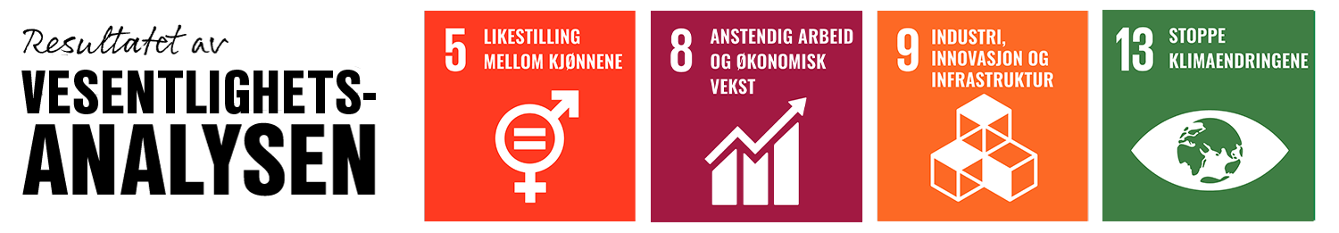 Resultatet av vesentlighetsanalysen