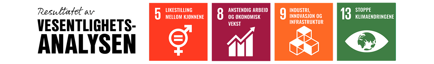 Resultatet av vesentlighetsanalysen