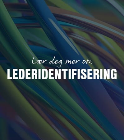 Lederidentifisering