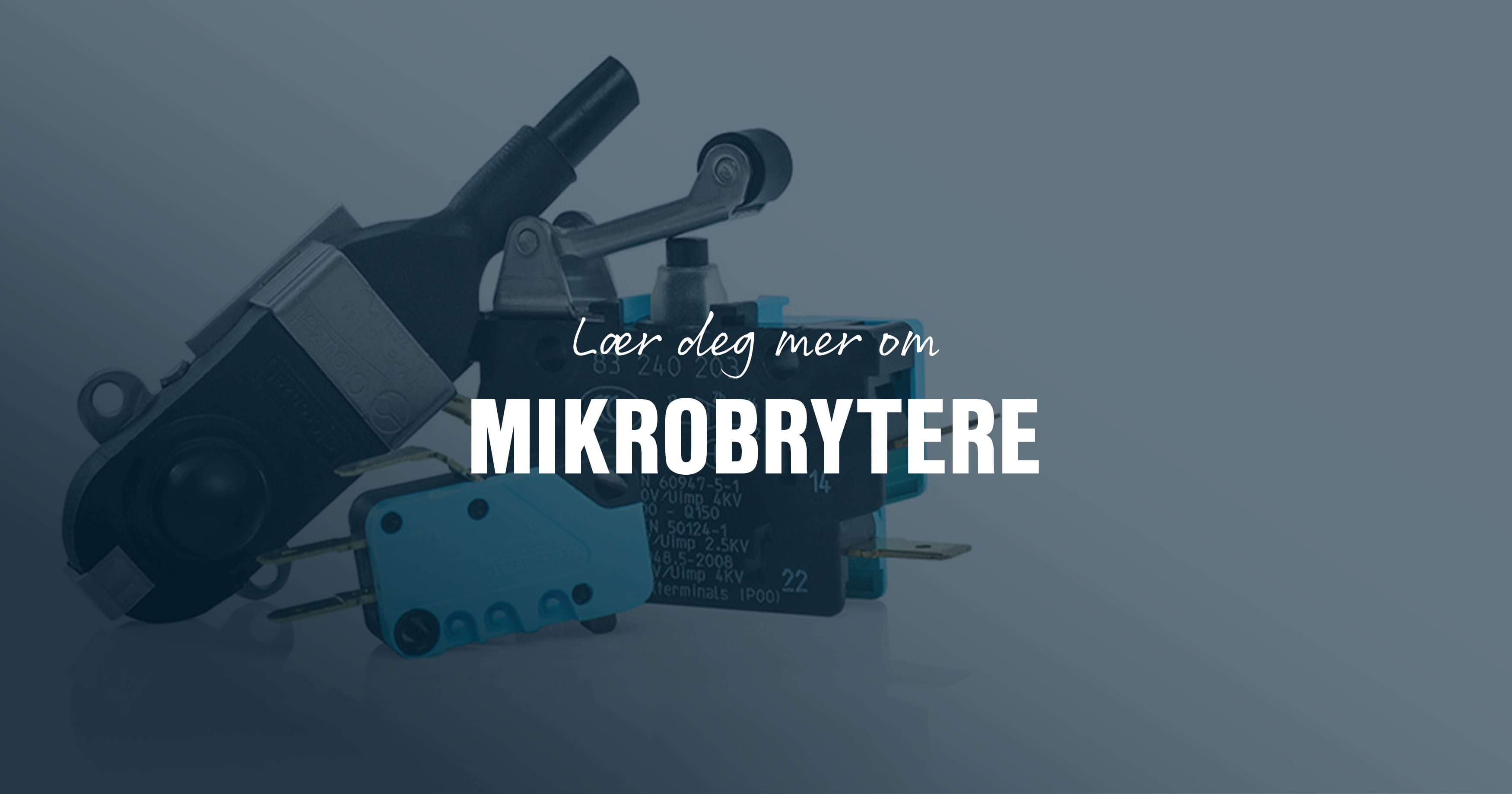 Lær deg mer om mikrobrytere