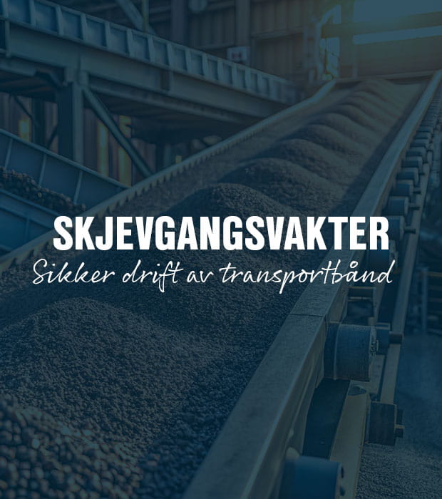 Skjevgangsvakter fra Idem