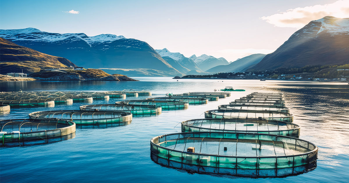 Bruksområde BC fiskeoppdrett