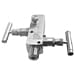 Manifold