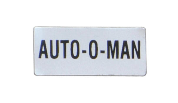 AUTO-0-MAN.png