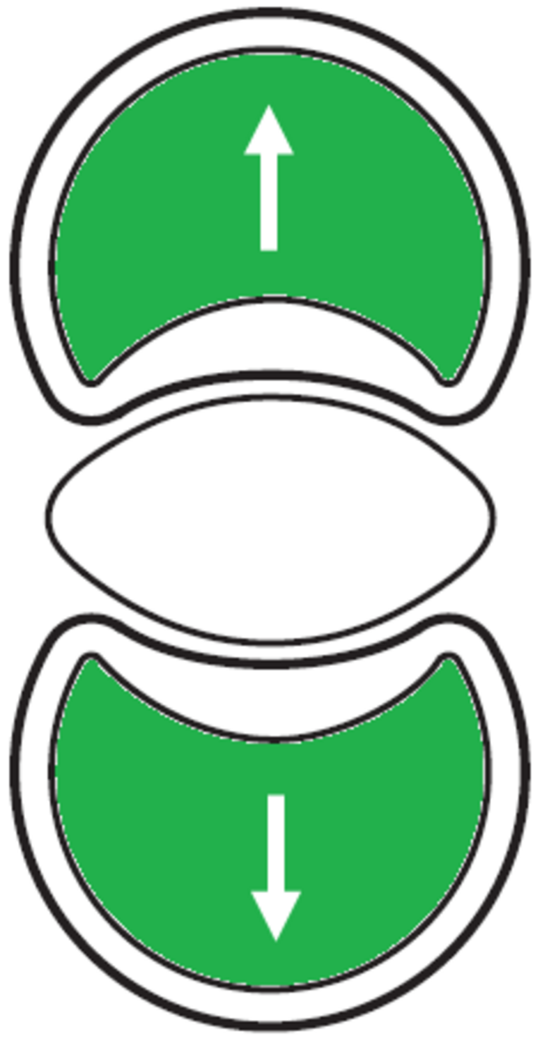 Dobbel trykknapp pil grønn