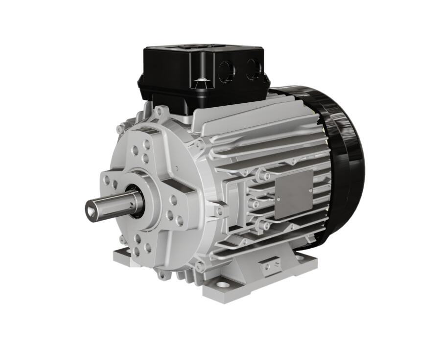 IE4 PM motor.jpg