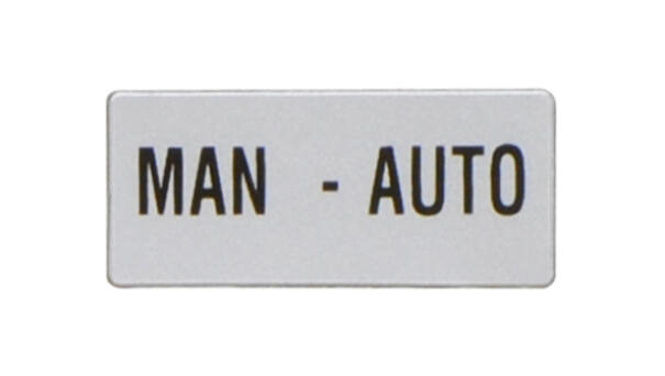 MAN-AUTO.png