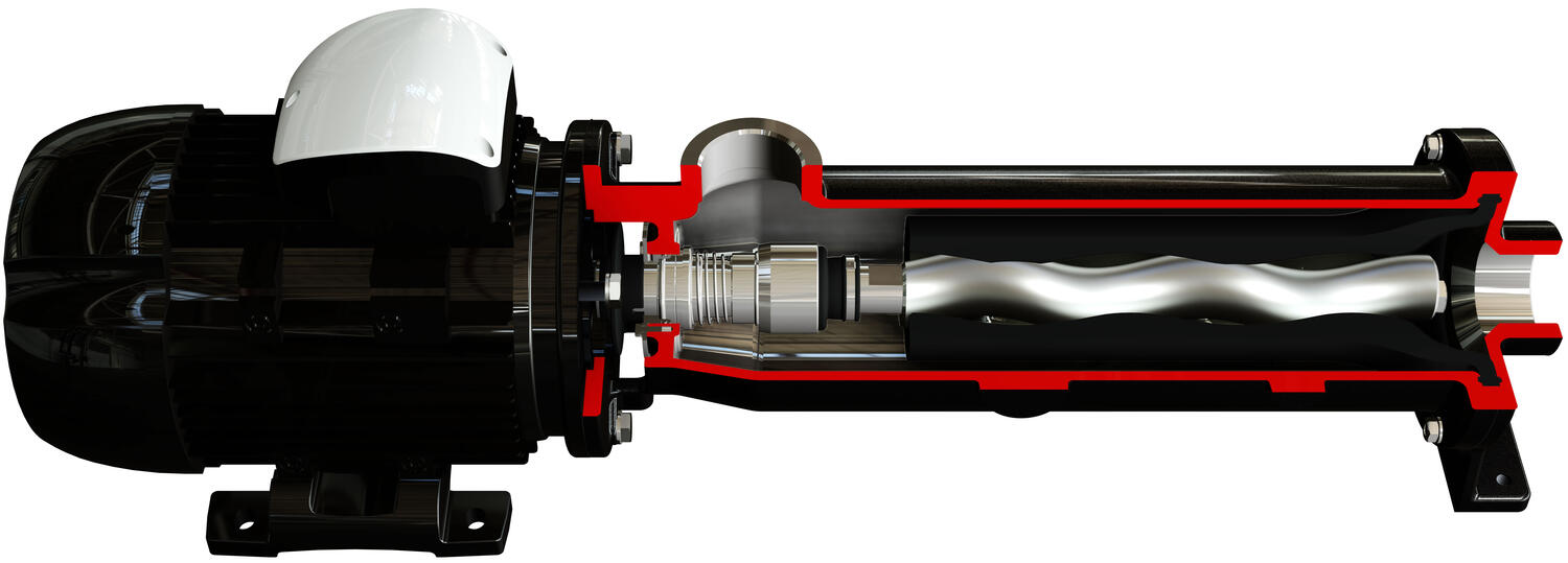 RL_motor_section.jpg