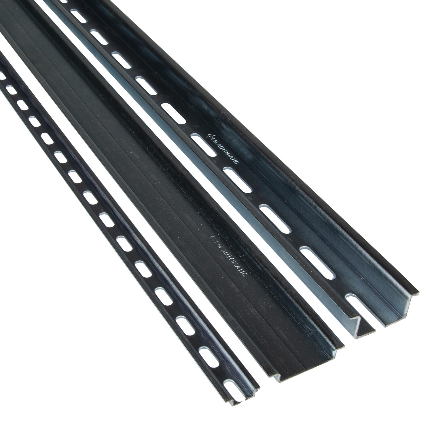 Skenor Gruppbild.tif