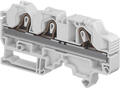 ZK10-3p.tif